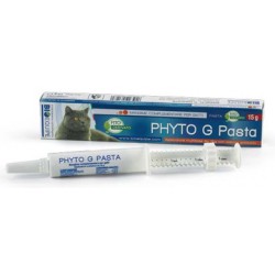 Bioequipe Phyto G Pasta 15 G