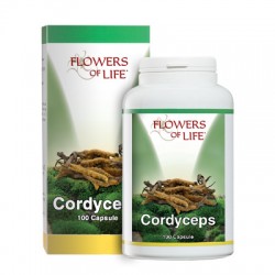 4ever Young Cordyceps 100...