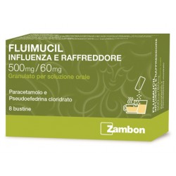 Zambon Italia Influenza E...